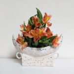 Constellation Vase / White